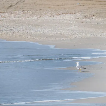 Gura Portitei Jurilovca