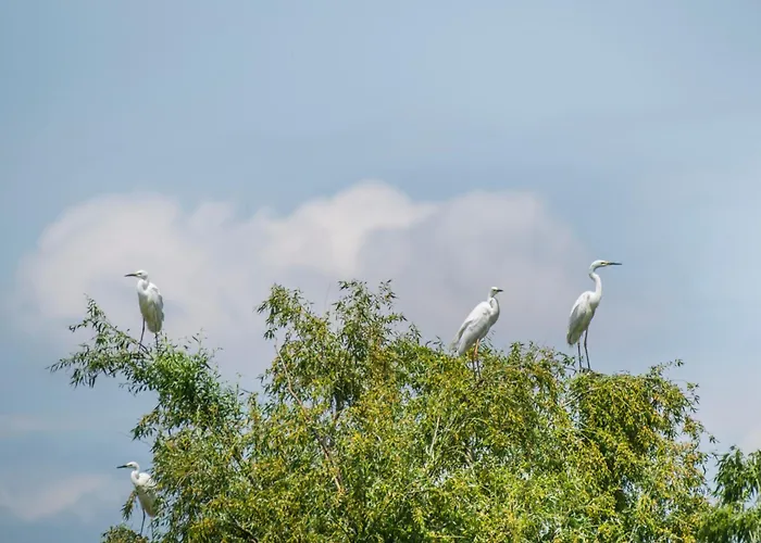 Hotel Gura Portitei Jurilovca